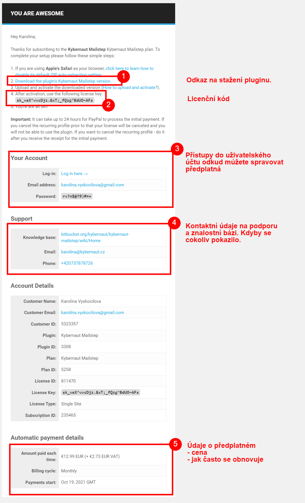 Freemius thank-you email with the plugin download link, license key, and account details