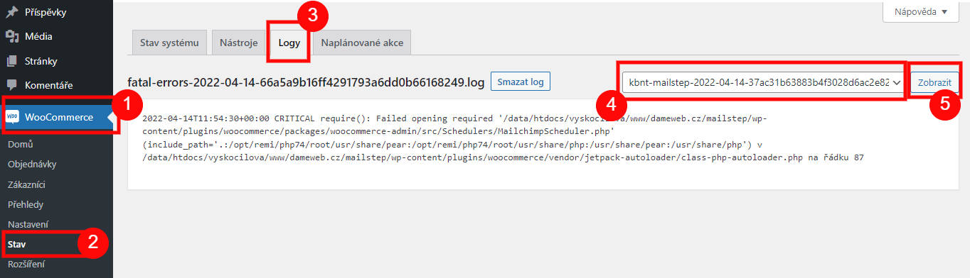 Selecting the Mailstep log by date in WooCommerce → Status → Logs